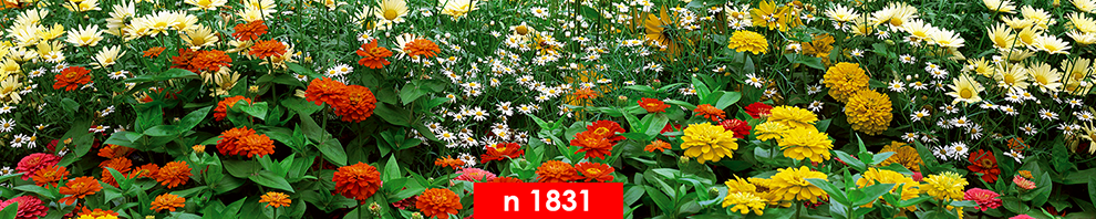 n 1831